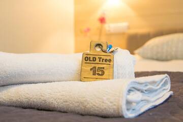 Фото номера Трехместный номер Гостевой дом Old Tree Villa &amp; Restaurant г. Освенцим 4