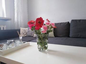 Фото номера Апартаменты с 2 спальнями и балконом Апартаменты Apartment Oświęcim klimatyzowany г. Освенцим 4